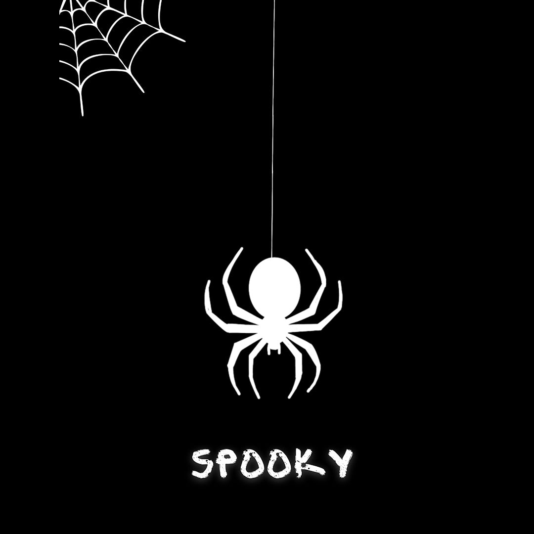 Black Round Neck Classic Printed Classic T-Shirt Spooky Spider | Women