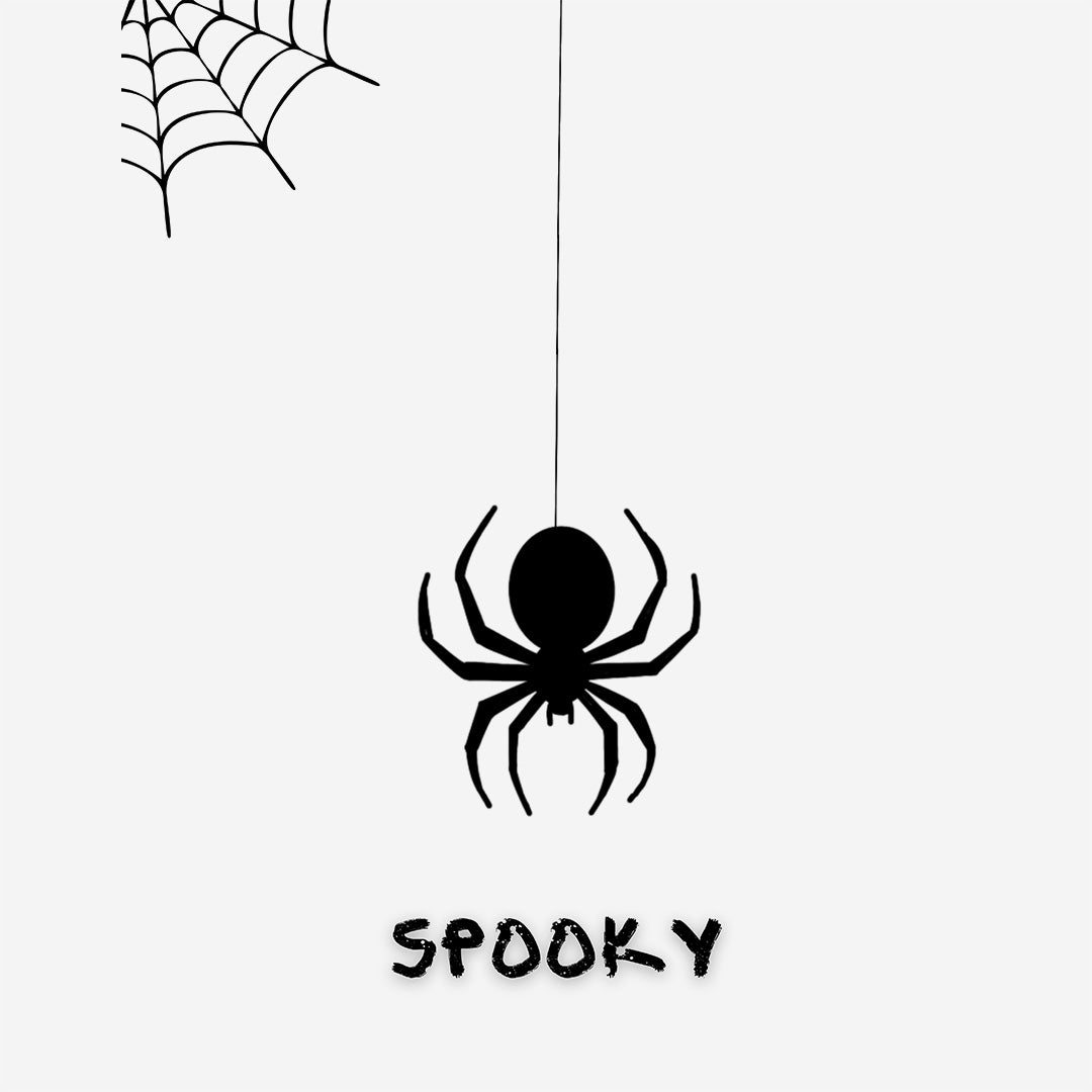 White Round Neck Classic Printed Classic T-Shirt Spooky Spider | Women